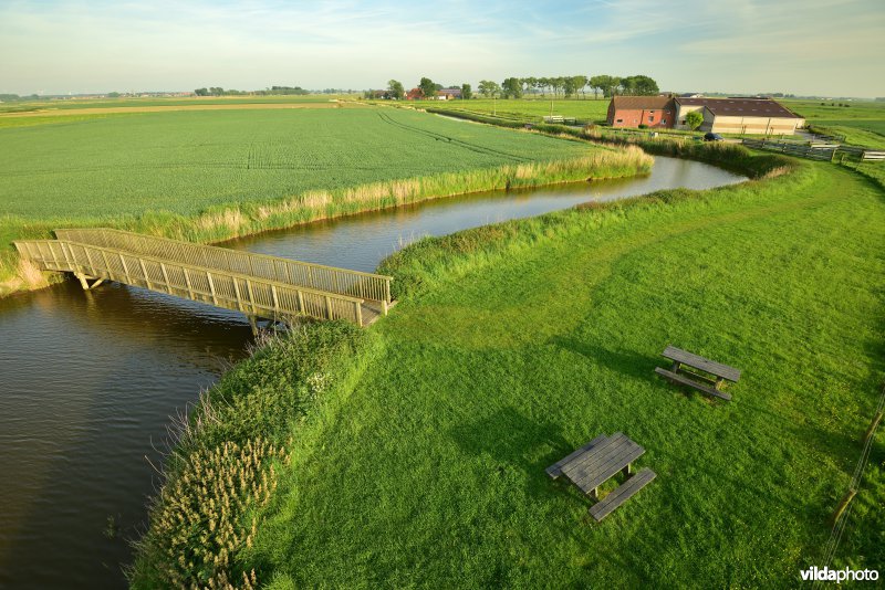 Blankenbergse vaart