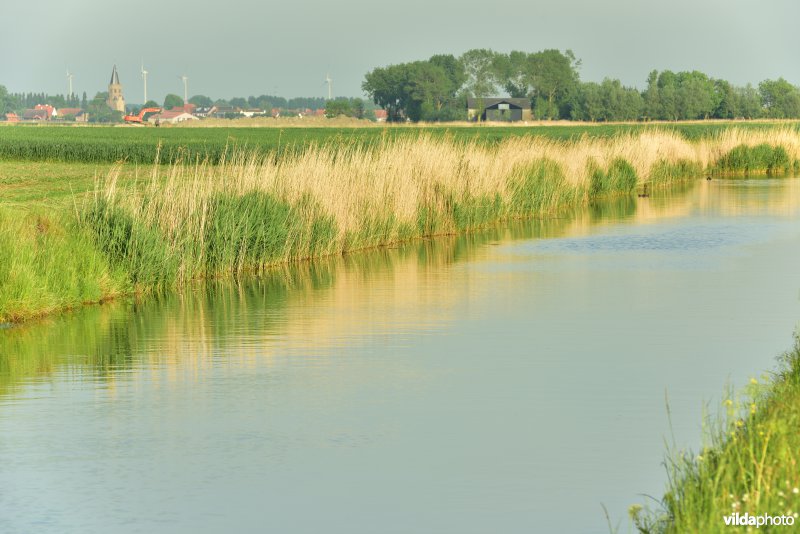 Blankenbergse vaart