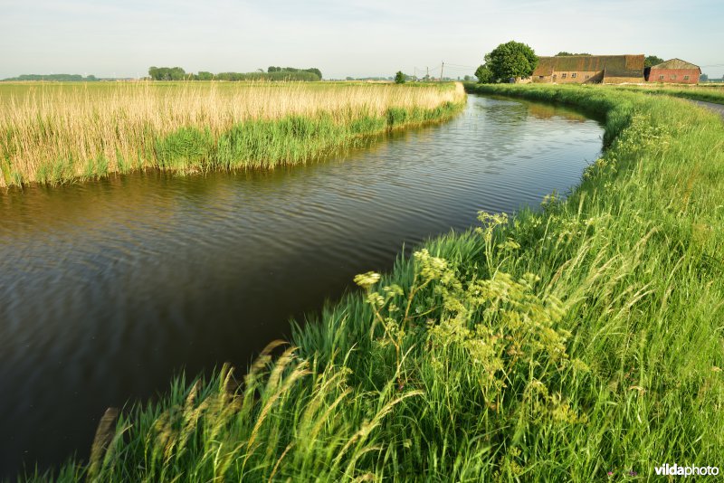 Blankenbergse vaart