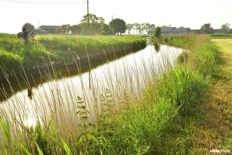 Blankenbergse vaart