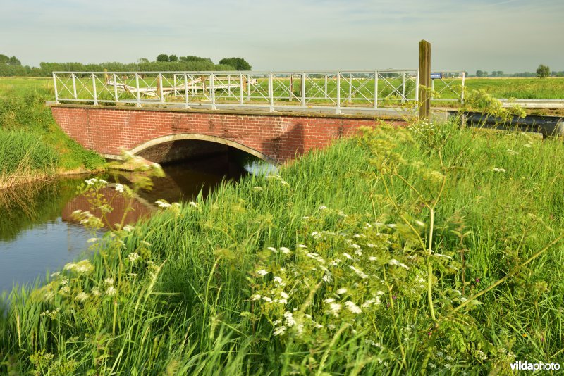 Blankenbergse vaart