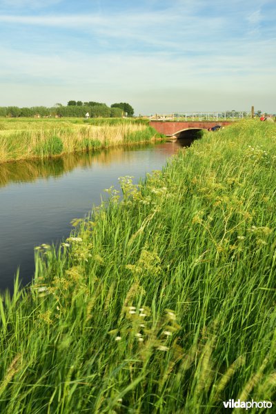 Blankenbergse vaart