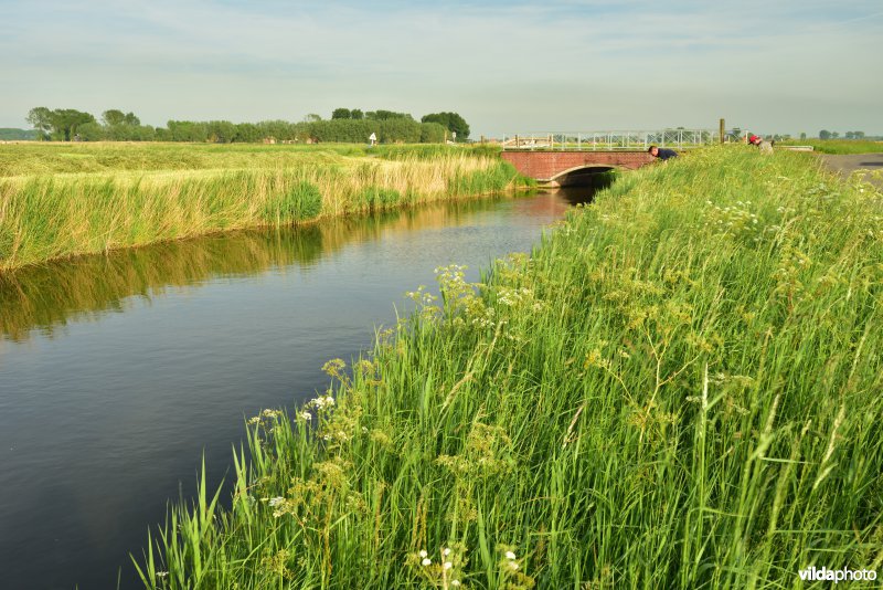 Blankenbergse vaart