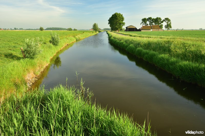 Blankenbergse vaart