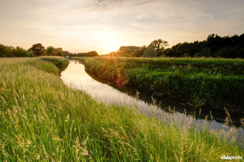 Demer aan de inlaatsluis van het Schulensmeer