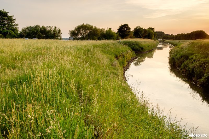 Demer aan de inlaatsluis van het Schulensmeer