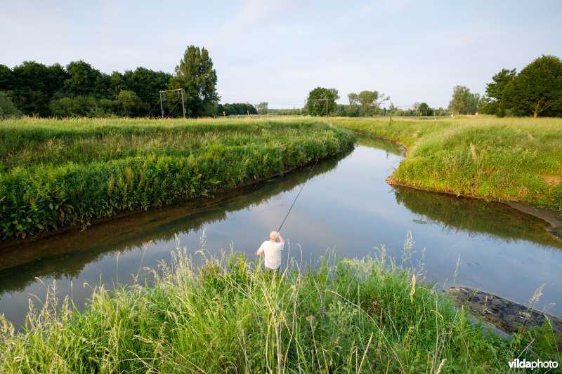 Demer aan de inlaatsluis van het Schulensmeer