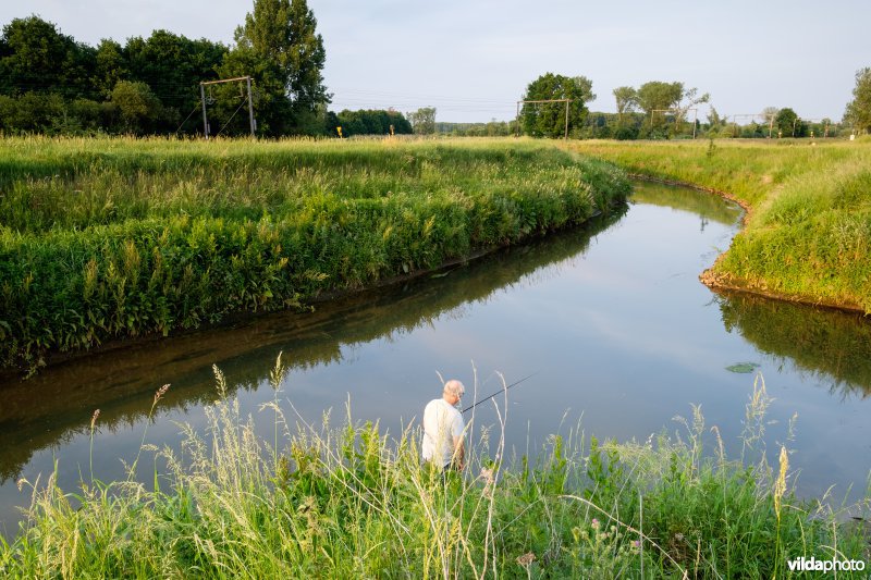 Demer aan de inlaatsluis van het Schulensmeer