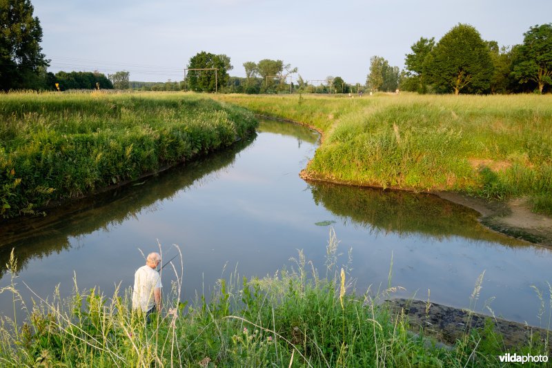 Demer aan de inlaatsluis van het Schulensmeer