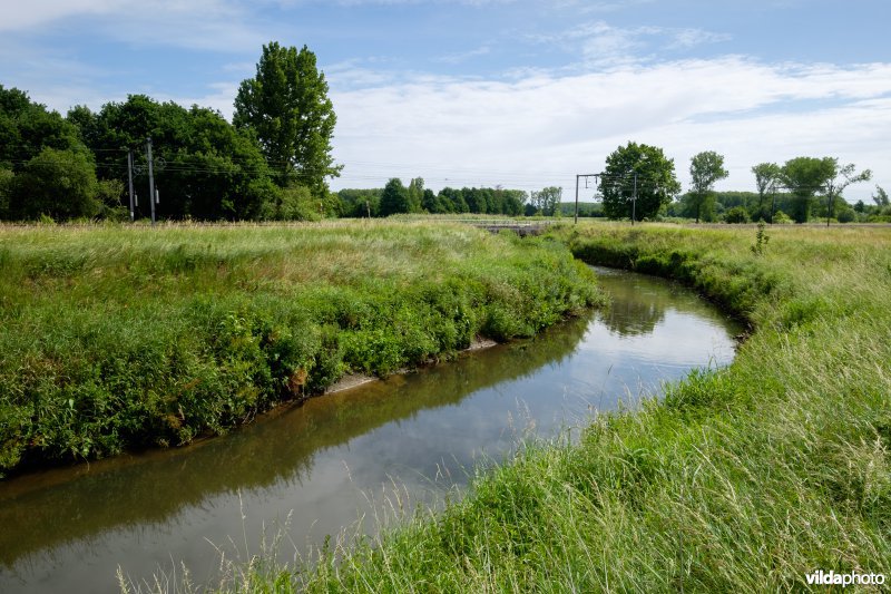 Demer aan de inslaatsluis van het Schulensmeer