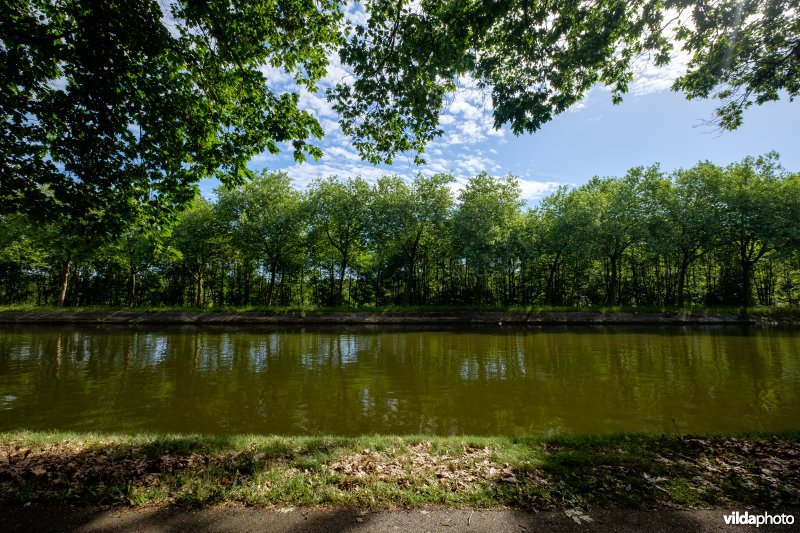 Kanaal Bocholt-Herentals in Limburg