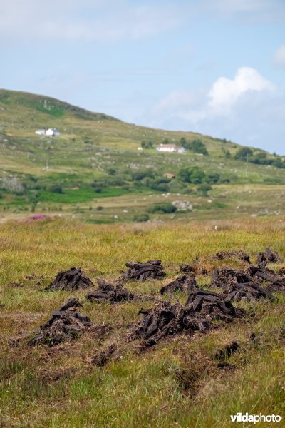 Veenwinning in Ierland