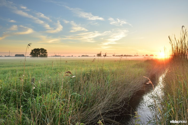 Poldergracht in de Handzamevallei