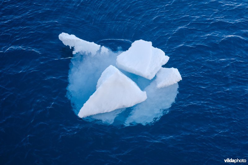 Smeltende ijsschots op de Noordelijke IJszee