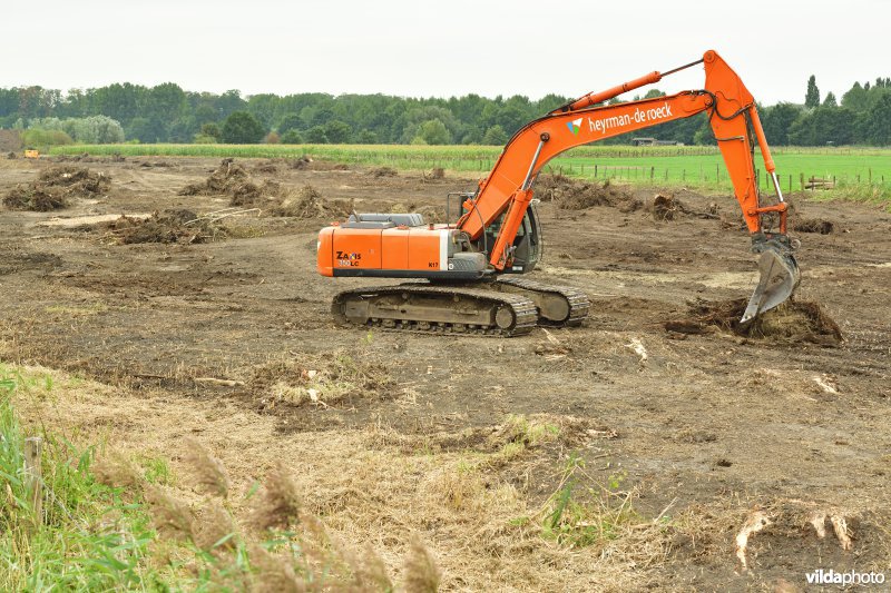 Oude Schelde in de Kalkense meersen