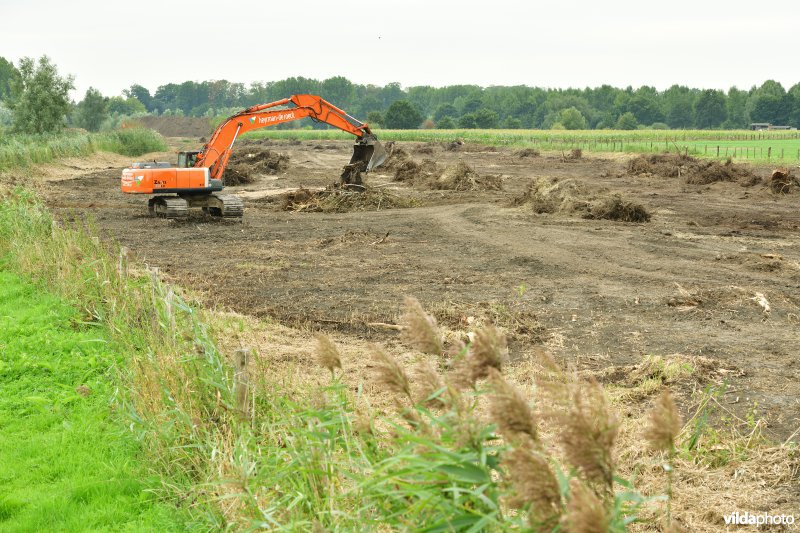 Oude Schelde in de Kalkense meersen