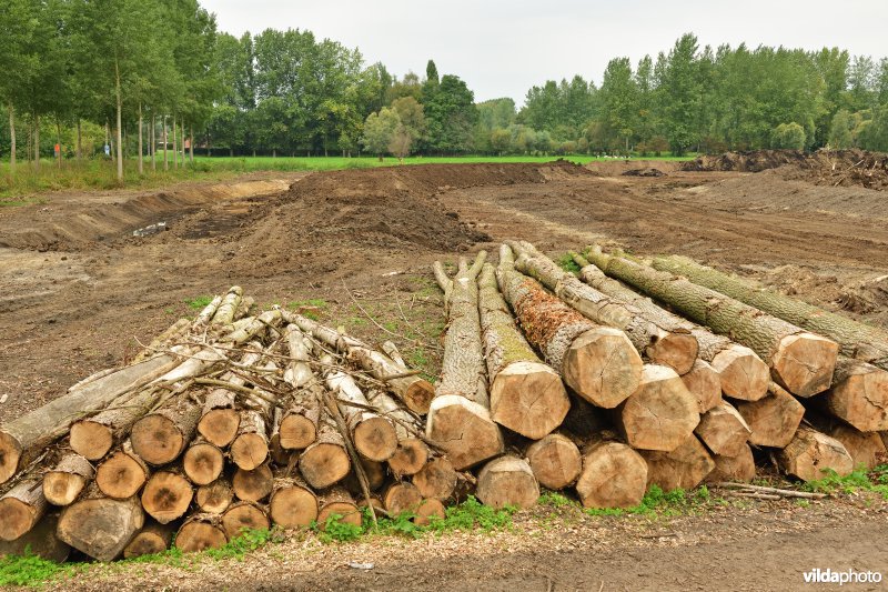 Rooiwerken in de Vlassenbroekse polders