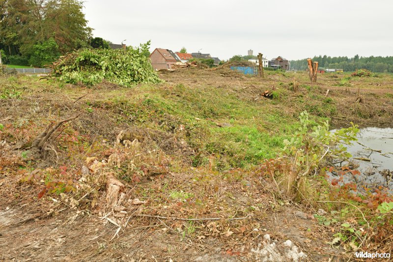 Vlassenbroekse polder