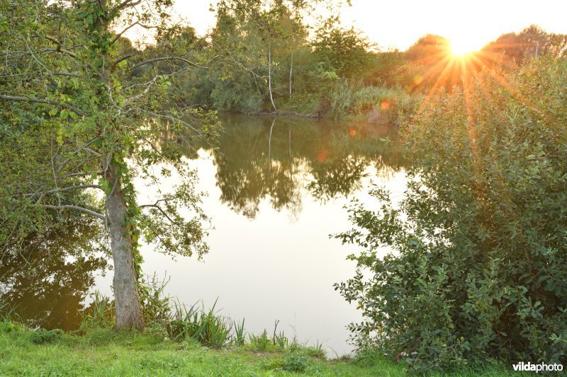 Natuurreservaat Lier-Anderstad