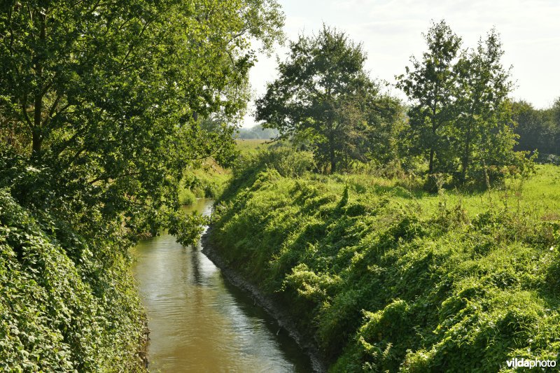 Demervallei: Kloosterbeemden