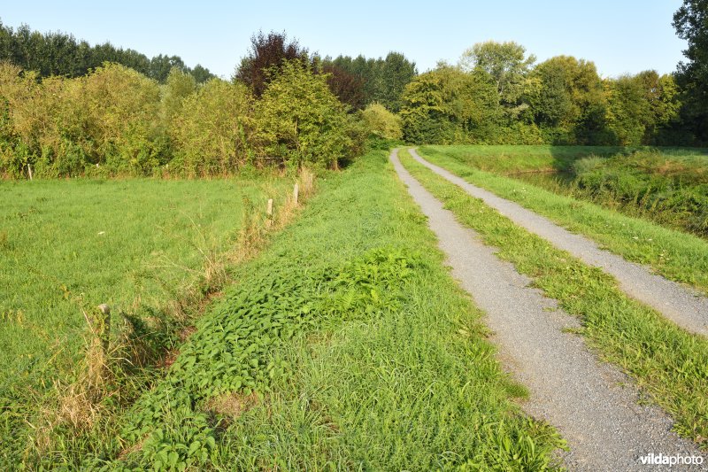 Demer aan de Vinkenberg