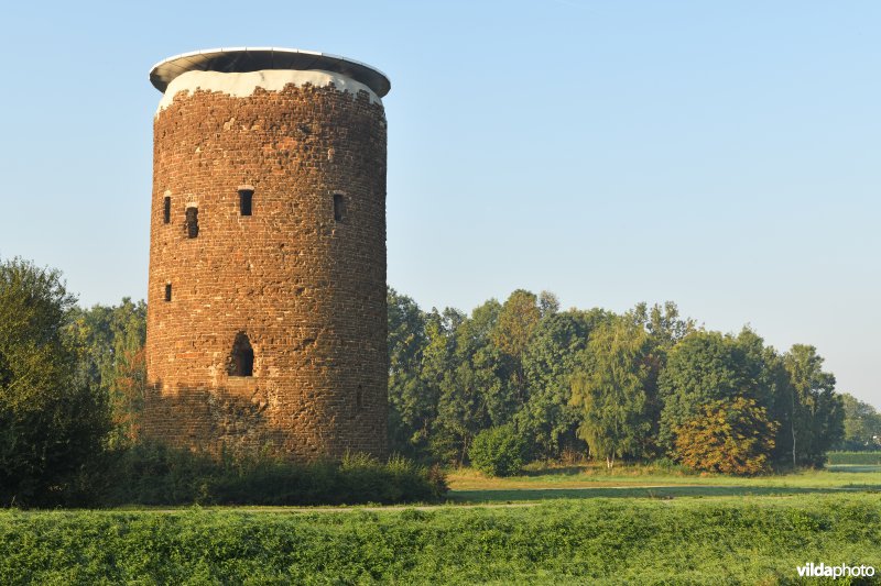 Maagdentoren langs de Demer