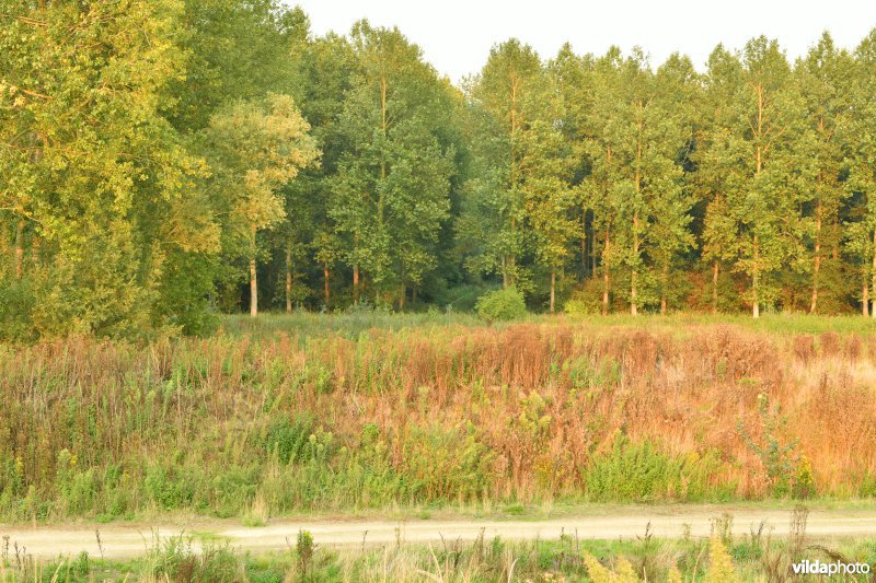 Vlassenbroekse polder