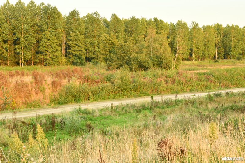 Vlassenbroekse polder