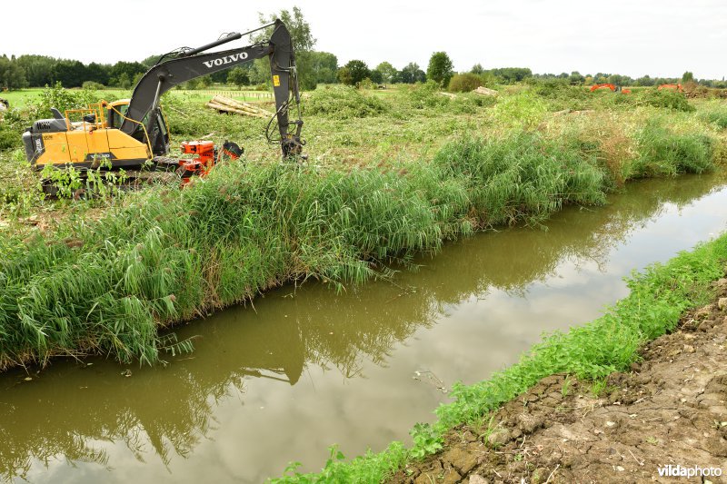 Oude Schelde in de Kalkense meersen