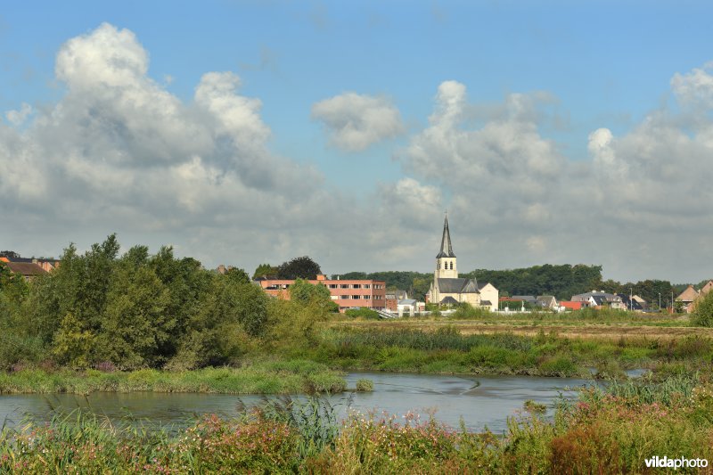 Wijmeers in de Kalkense meersen