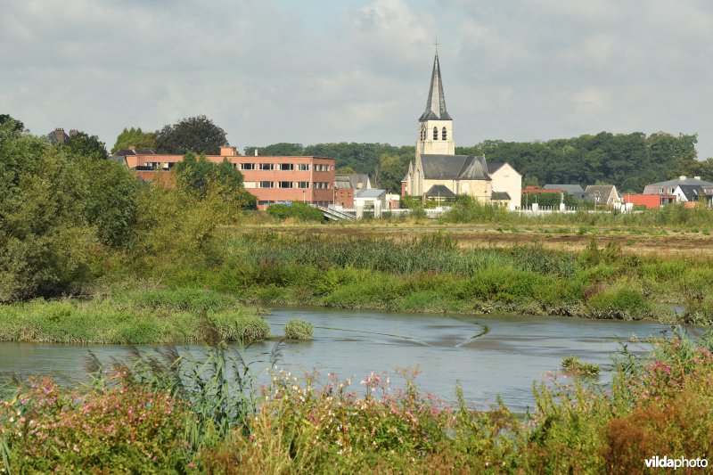 Wijmeers in de Kalkense meersen