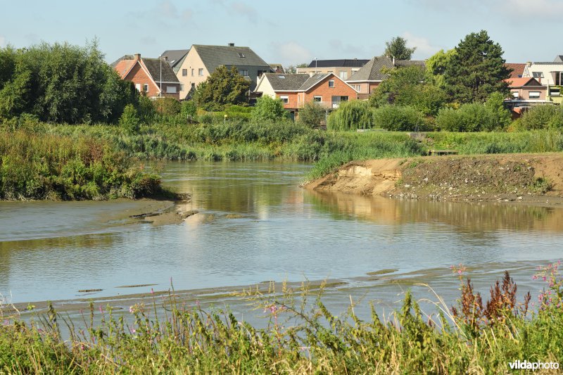 Wijmeers in de Kalkense meersen