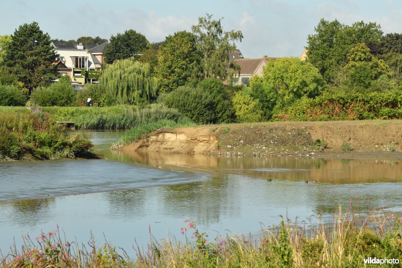 Wijmeers in de Kalkense meersen