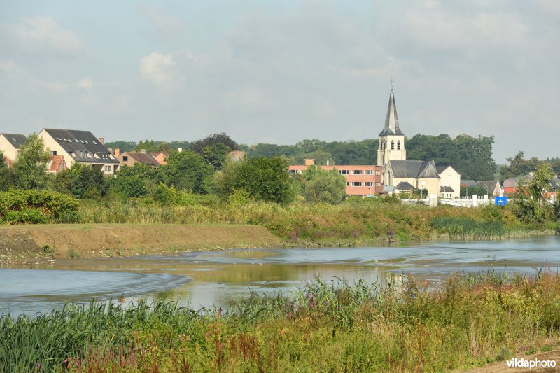 Wijmeers in de Kalkense meersen