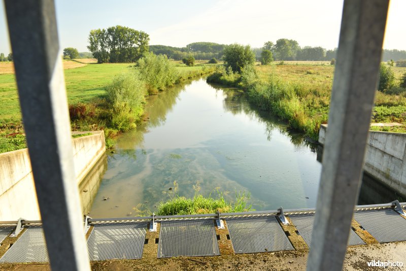 Wijmeers in de Kalkense meersen