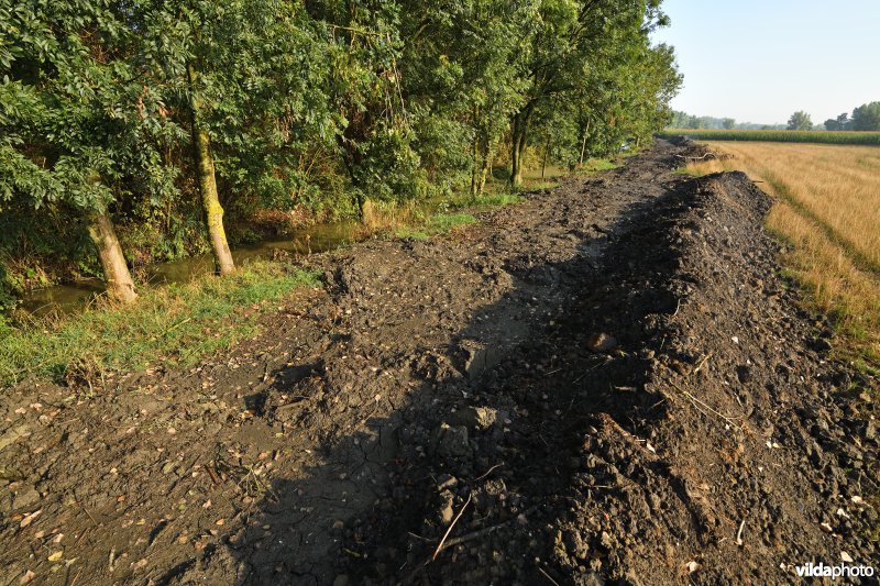 Oude Schelde in de Kalkense meersen