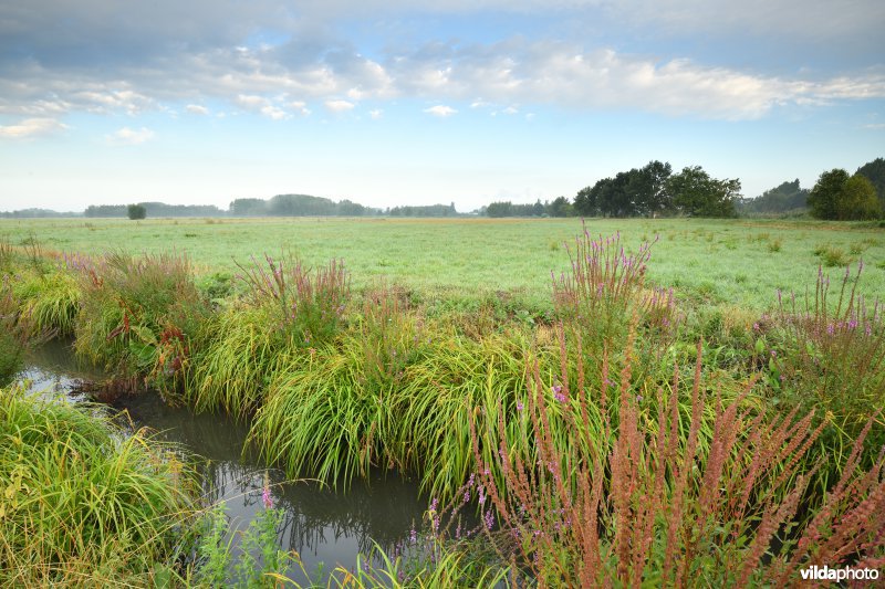 Kalkense Meersen