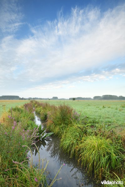 Kalkense Meersen