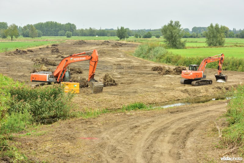 Oude Schelde in de Kalkense meersen