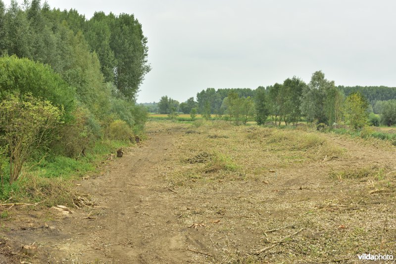 Oude Schelde in de Kalkense meersen