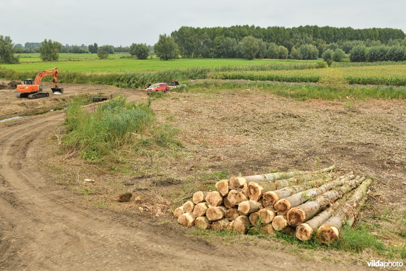 Oude Schelde in de Kalkense meersen
