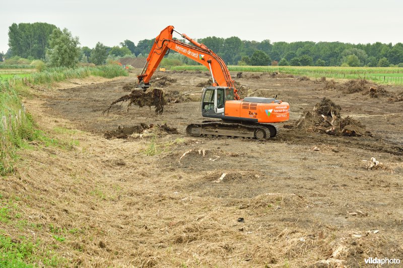 Oude Schelde in de Kalkense meersen