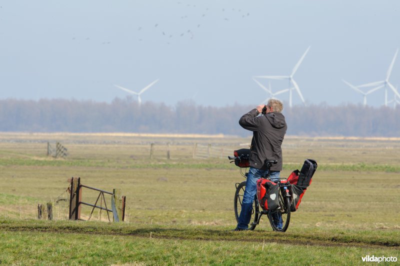 Vogels kijken in de Eempolder