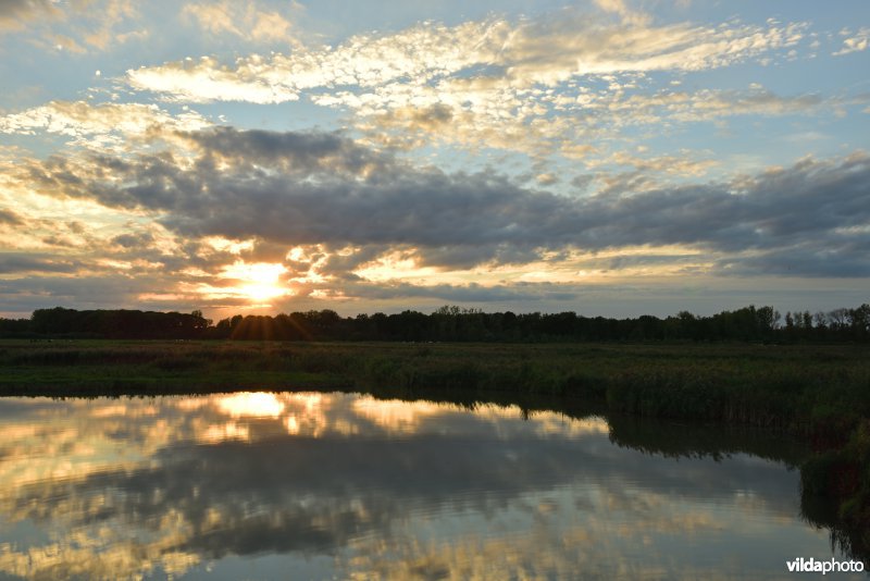 KBR polder