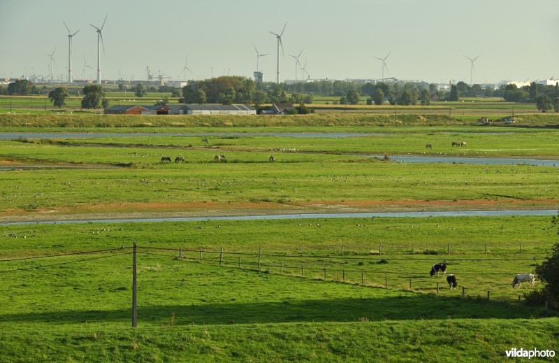 Doelpolder