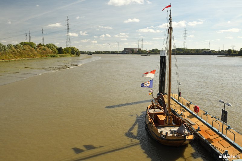 Schelde aan Rupelmonde