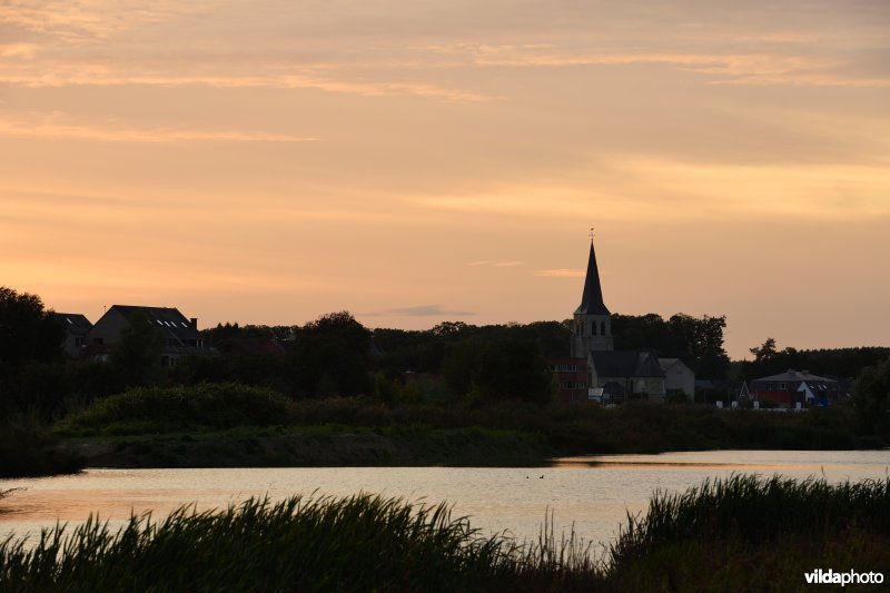 Wijmeers in de Kalkense meersen