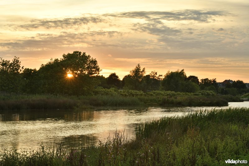 Wijmeers in de Kalkense meersen