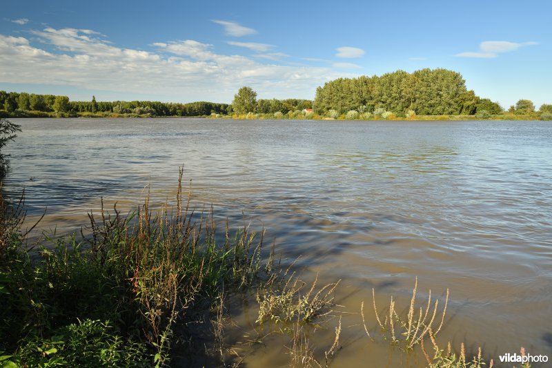 Schelde aan het Groot Schoor te Hamme