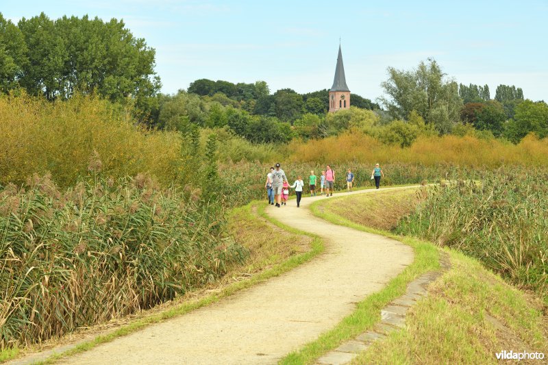 De Bunt